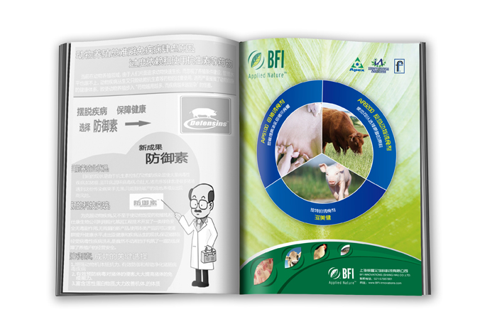 上海彼福艾飼料有限公司